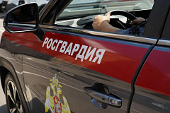 Московские росгвардейцы пришли на помощь семье, у которой сломался автомобиль на проезжей части
