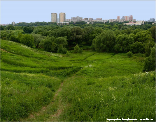 15 - Московская смена.jpg
